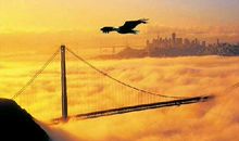 成功名言：激励人成功的励志名言_700字