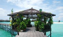 风景这边独好_500字