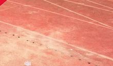 激动人心的接力赛_500字