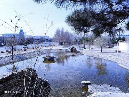 家乡的广场_650字