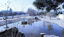 家乡的广场_650字