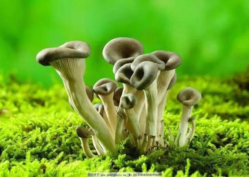 雨是不断的，时间保持_600字