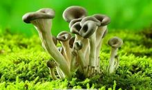 雨不停、时间不停_600字