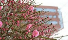 心中那抹阳光_750字