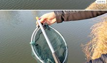 我捞鱼？鱼捞我？_500字