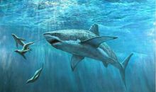 一条没有鱼鳔的鱼_550字