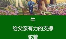 那一次，我读懂了母爱_700字