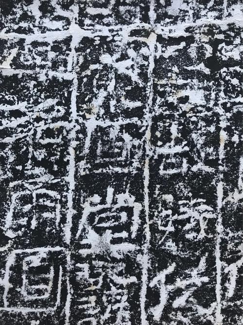 蚂蚁和石墙_550字