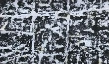 蚂蚁与石墙_550字