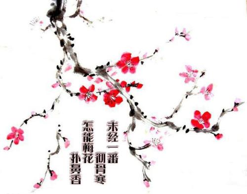 用梅花组成：我爱我的家乡梅_450字