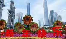 大年夜，真好_800字