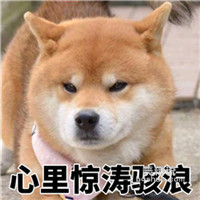 小黄色狗发_400字
