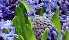 点燃人生之“柴”