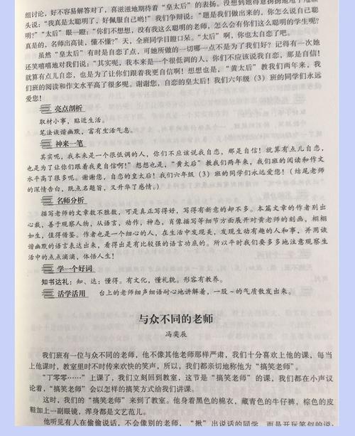 我心中的明星_800字