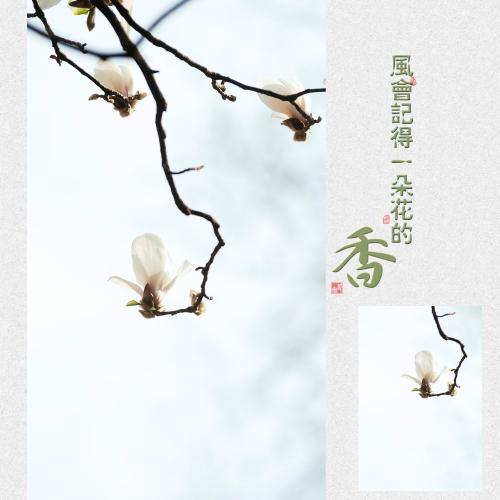 [十几岁的作家杯组a]谢谢你的生活中的一朵花_2000字