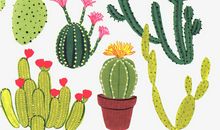 谢谢你，仙人掌_500字