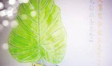 要勇敢尝试_700字