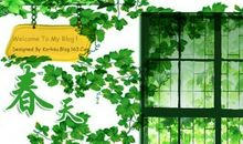 窗外的世界_600字