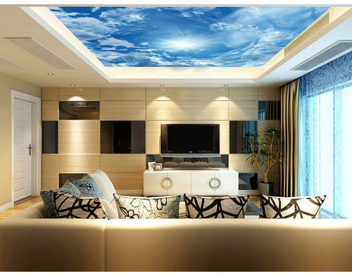 [十几岁的作家杯，一只眼睛看着整个蓝天_2000字