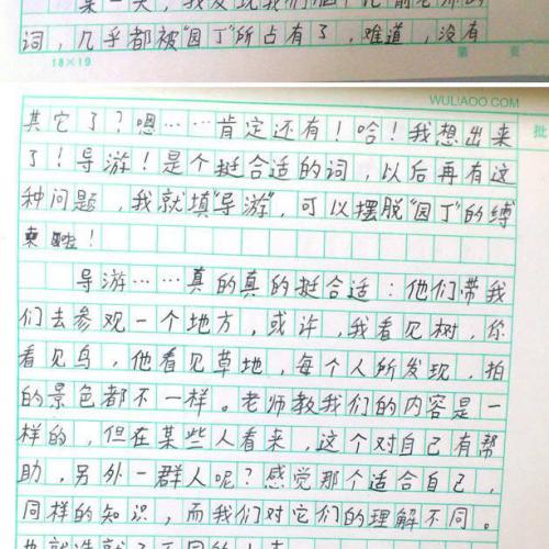 在滑冰上的组成_450字
