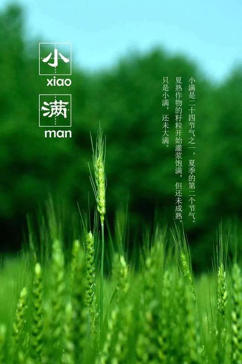 当它充满水果时，它充满了树_700字