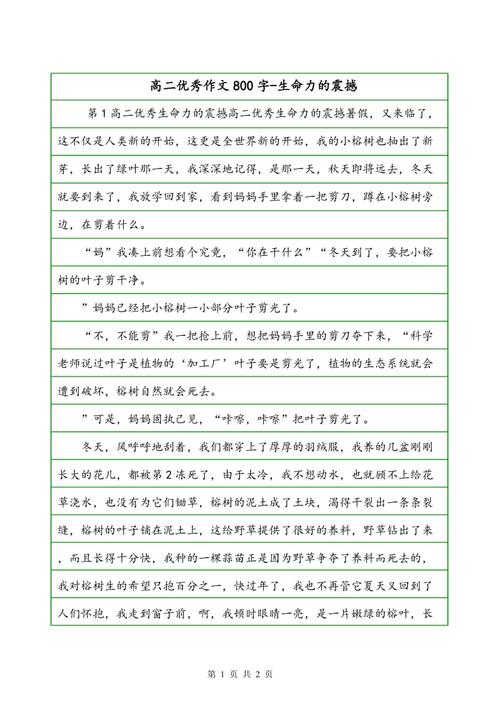 分享组成：共享生活_800字