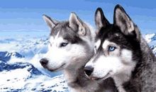 关于分享的作文：分享书香_1200字