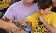 Join Activity参加课外活动_900字