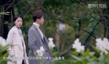 命运日记_1000字