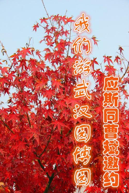 冬天song_450字