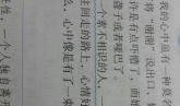 战争日记2_450字