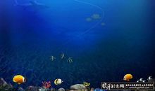 浅蓝色的世界_1000字