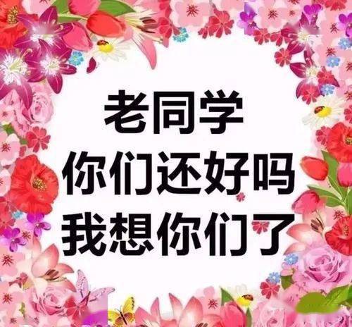 遇见旧同学_500字