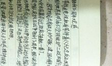 阅兵式观后感_500字