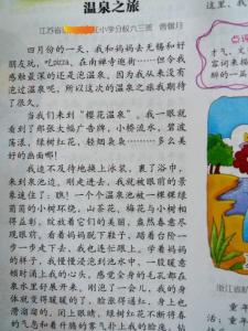 我的探索（八）_400字