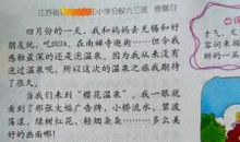 我的探索（八）_400字