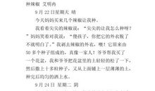 鸡冠花观察日记_400字