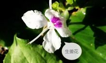 精彩一刻 _650字