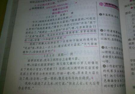 吃观察日记_300字