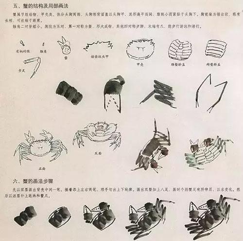 观察螃蟹的启示_250字