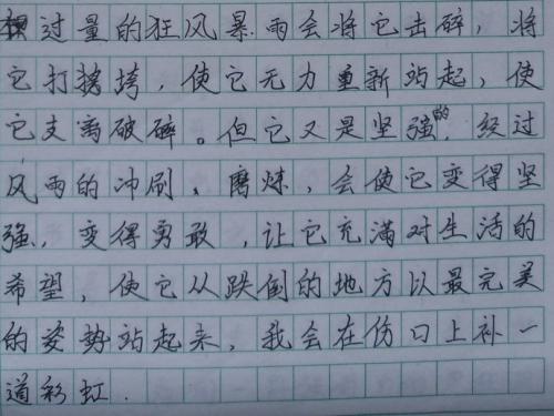 关于理想的组成：最伟大的理想_600字