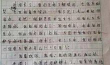 关于理想的作文：雪花的理想_200字