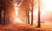 哲理故事：倒下的战友