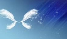 高一状物作文：我们家的传家宝_900字