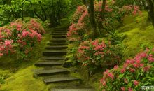 [写景]第一场雪_600字