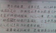 五年级写景作文：冬天的景象_400字