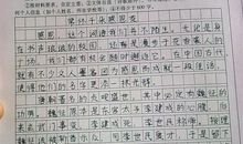 07年中考优秀作文：惊蛰_800字