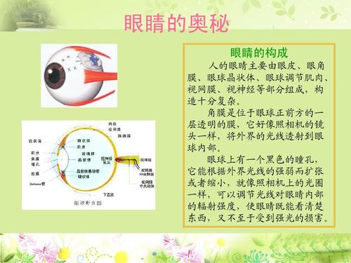 珍惜我们的眼睛_450字
