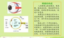 爱惜我们的眼睛_450字