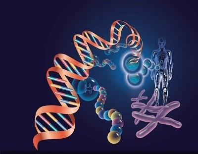高三小说：DNA_750字